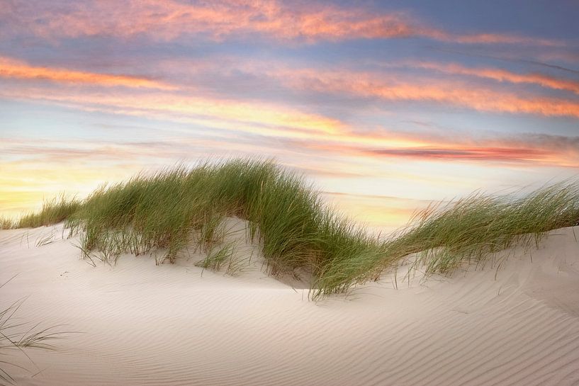 duinen van Martin Rijpstra