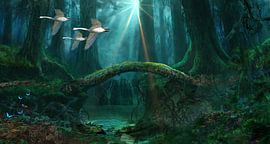 Schwäne in der Wildnis von Paulus Geeve