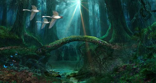 Schwäne in der Wildnis von Paulus Geeve