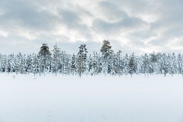 Wit landschap in Fins Lapland van Miranda van Assema