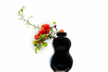 Ein Stillleben mit einem Blumenzweig in einer Vase von Jolanda de Jong-Jansen