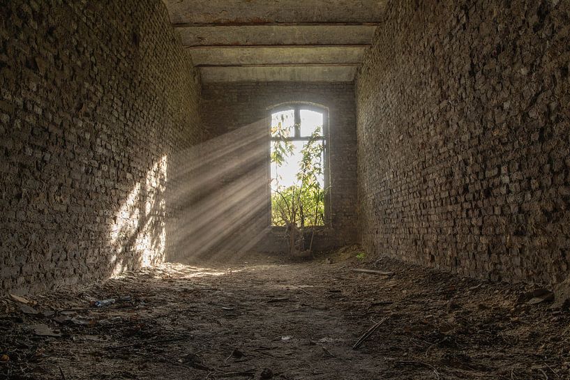 Sonnenbadender Urbex von Sasja van der Grinten