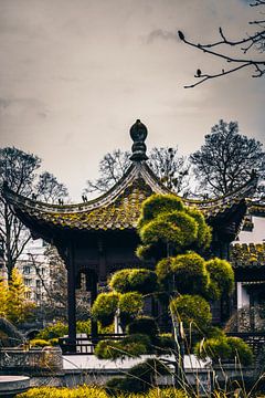 China tuin in Frankfurt van Fotos by Jan Wehnert
