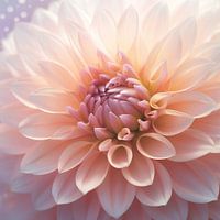 Rosa Dahlie