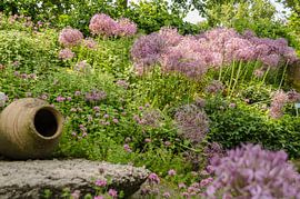 Sterrenlook van Ans Bastiaanssen