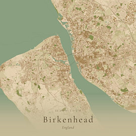 Vintage map of Birkenhead, United Kingdom by Prints of Place