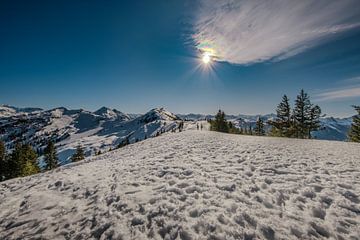 La puissance du soleil sur un monde hivernal silencieux