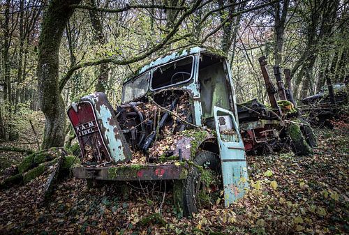 Vrachtwagen in het bos
