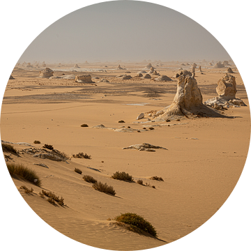 Overzicht White Desert National Park Egypte van Gerwald Harmsen