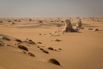 Overzicht White Desert National Park Egypte