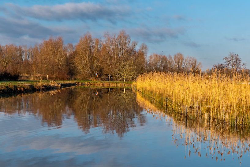 reflectie 1 van Bill hobbyfotografie
