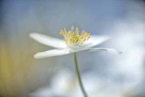 Entre deux averses, le soleil est là