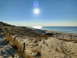 Die Dünen von Meijendel von Linda van Rij