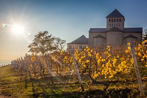 Herbstsonne auf Basilika Johannisberg im Rheingau sur Christian Müringer