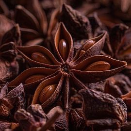 A square of star anise by Marjolijn van den Berg