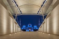 Sheikh Zayed Grand Mosque/Wahat Al Karama van Bart Hendrix thumbnail