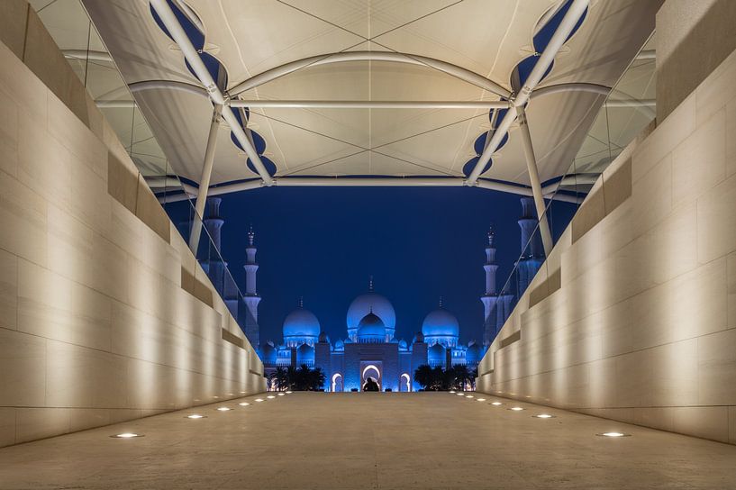 Sheikh Zayed Grand Mosque/Wahat Al Karama van Bart Hendrix