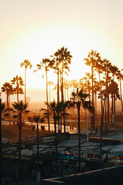 Los Angeles by Hello Pompoyo