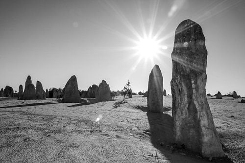 Monolithes dans le désert des Pinnacles, Australie occidentale sur The Book of Wandering