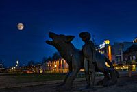 Wolf bij volle maan