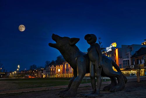 Wolf bij volle maan