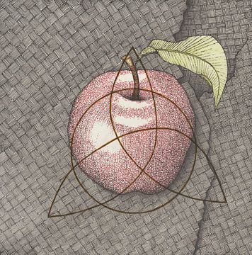 The knowledge (a way of seeing three paths leading to one secret) by Magnetic fields