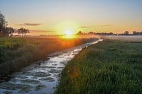 Dew over the ditch