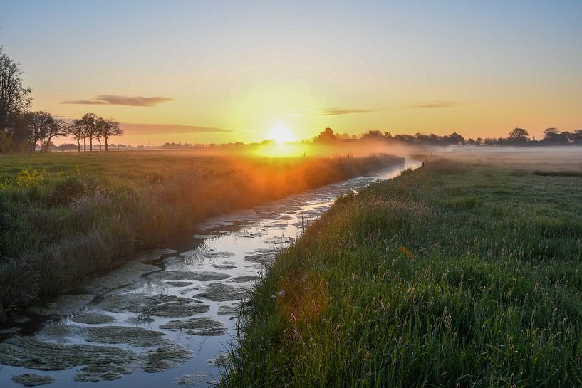 Dew over the ditch by Tessa van der Geer