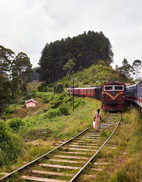 Nuwara eliya, Sri lanka by Dilani Butink