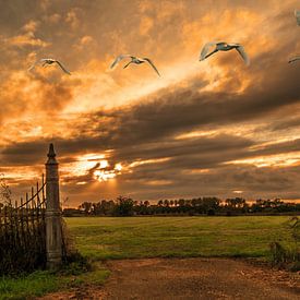 Monumentaal hek (1889) Leeuwarden by Sparkle King