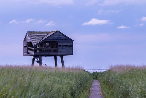 Kiekkaaste Nieuwe Statenzijl