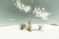 Duinen, White Sands National Monument | Vintage van Melanie Viola thumbnail