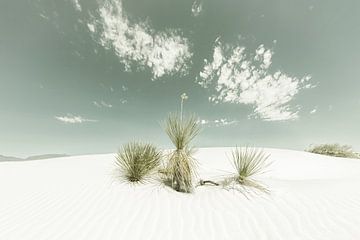 Duinen, White Sands National Monument | Vintage van Melanie Viola