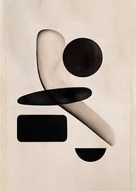 Shapeshift Harmony sur THE MIUUS STUDIO