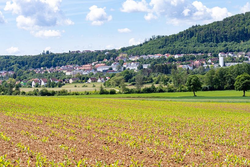 Ansicht von Treuchtlingen, Deutschland von de-nue-pic