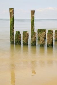 Brise-lames sur la côte néerlandaise
