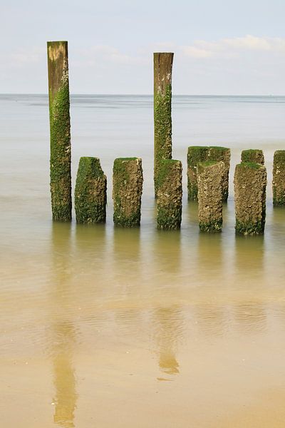 Breakwaters at the Dutch coast by Ronald Pol