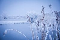 Winterlandschaft Friesland.