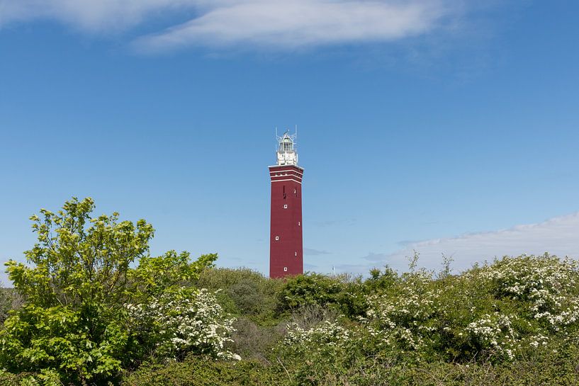 Lighthouse Westhoofd in Ouddorp by Charlene van Koesveld