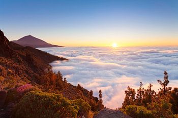 Pico del Teide at sunset, Tenerife, Canary Islands, Spain