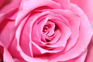 Liebe ist mit Rosen von Alfred Benjamins