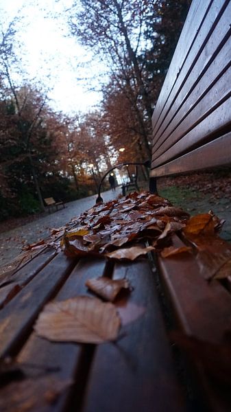 herfstseizoen van fotograaf chaimaa