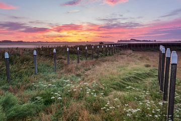 Zonsopkomst Schokland provincie Flevoland,Nederland. van Adrian Visser