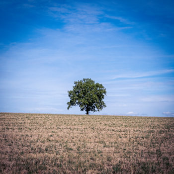 Zwischen dem Nichts und dem Nirgendwo