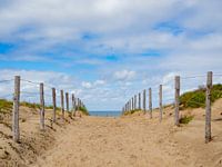 OLYMPIC DIGITAL CAMERA