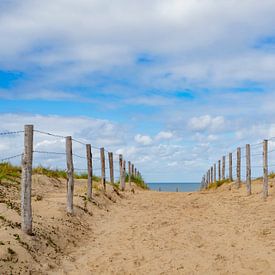 APPAREIL PHOTO NUMÉRIQUE OLYMPIQUE sur Wendy Tammenga