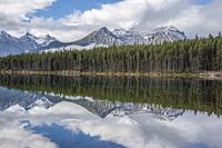 Mirror lake 