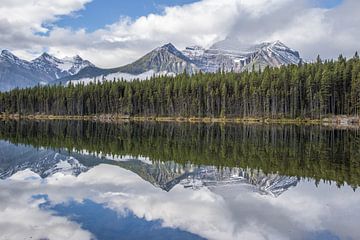 Mirror lake 
