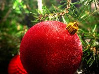 Kerstbal in de kerstboom