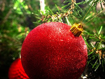 Kerstbal in de kerstboom van Matthijs Noordeloos